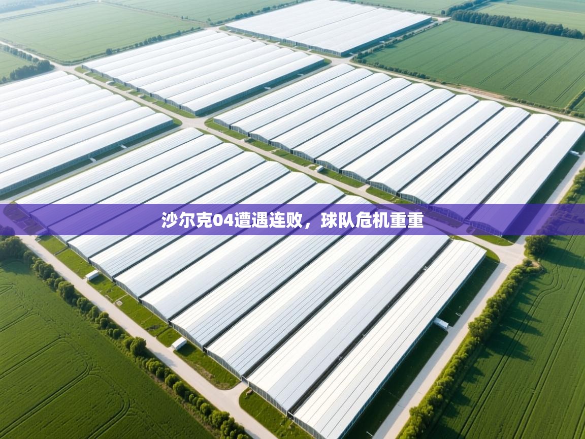 沙尔克04遭遇连败，球队危机重重