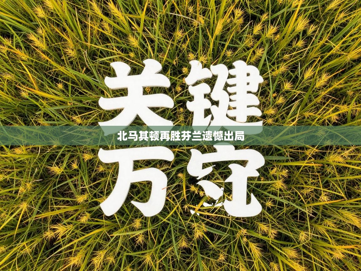 北马其顿再胜芬兰遗憾出局